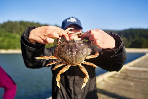 wild rivers coast food trail crab